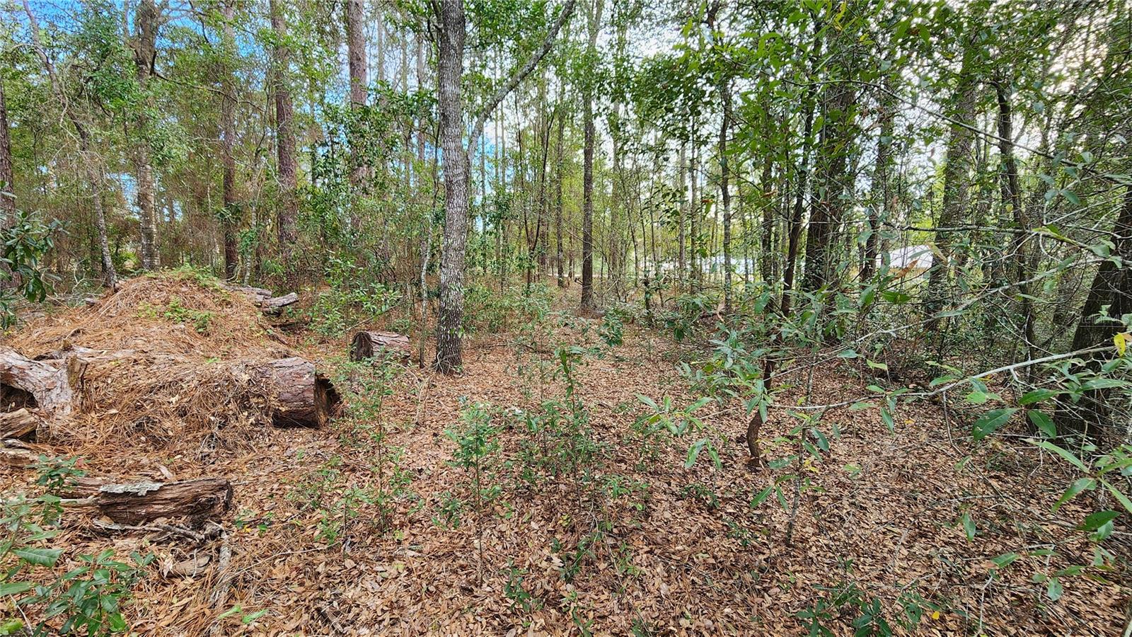 Image 8 of 23 For 7954 Golfview Drive