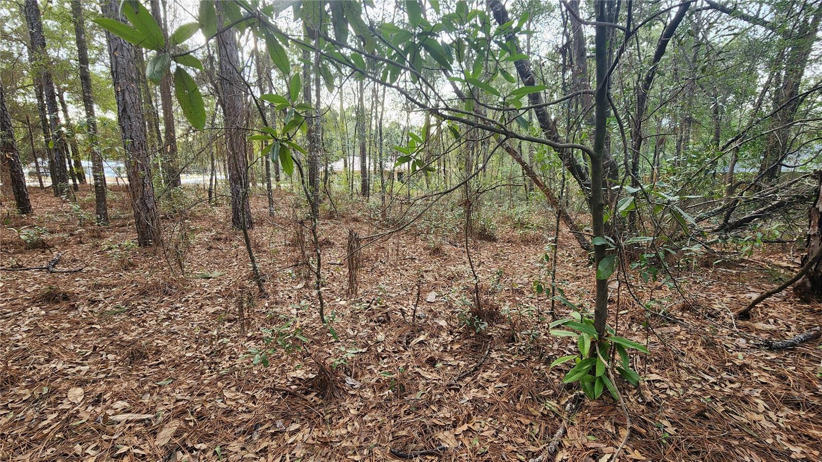 Image 9 of 23 For 7954 Golfview Drive