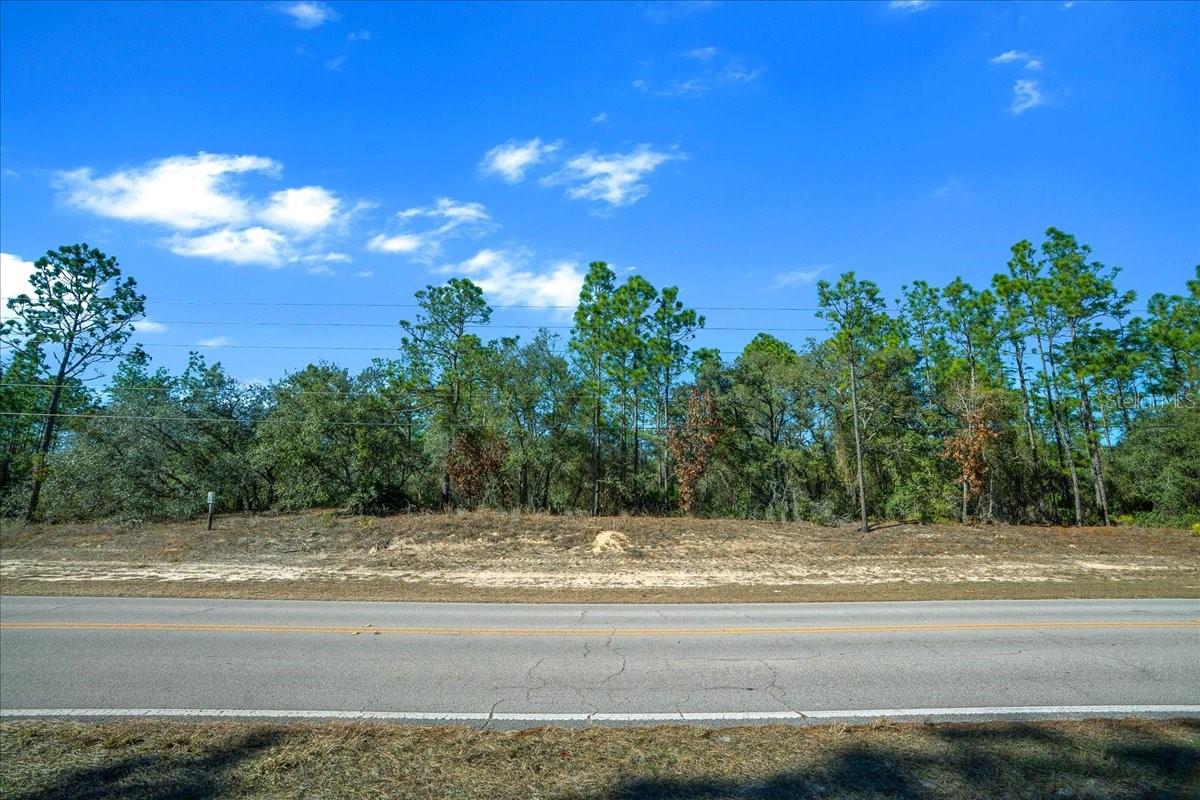 Image 17 of 22 For 6055 Ponderosa Place