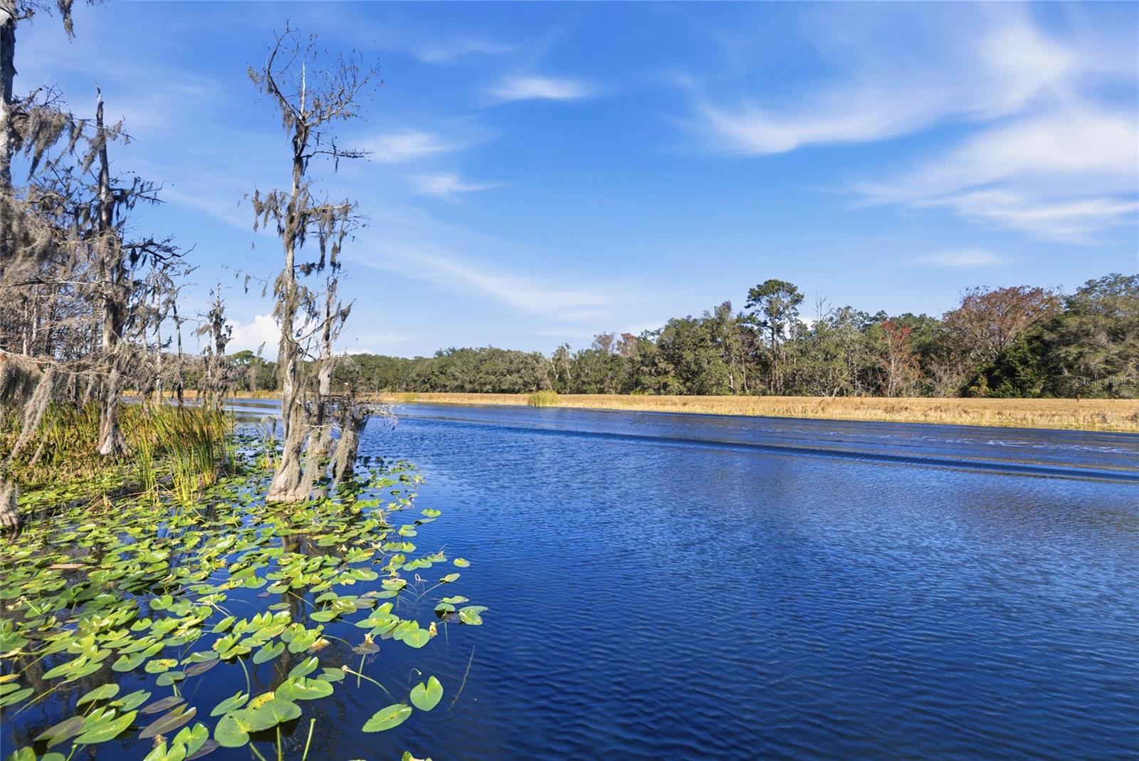 Image 16 of 65 For 351 Sequoia Dr