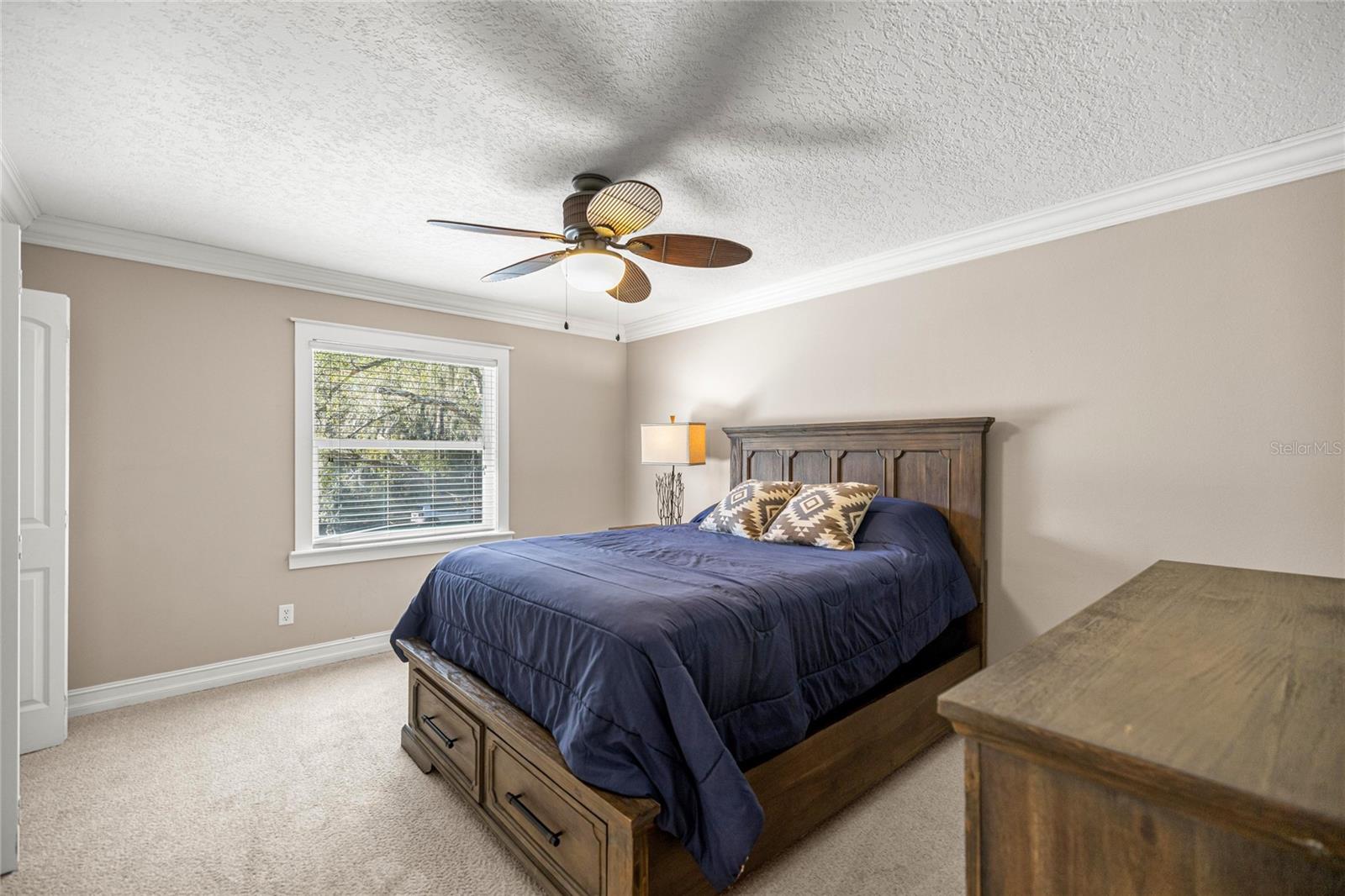 Image 57 of 65 For 351 Sequoia Dr