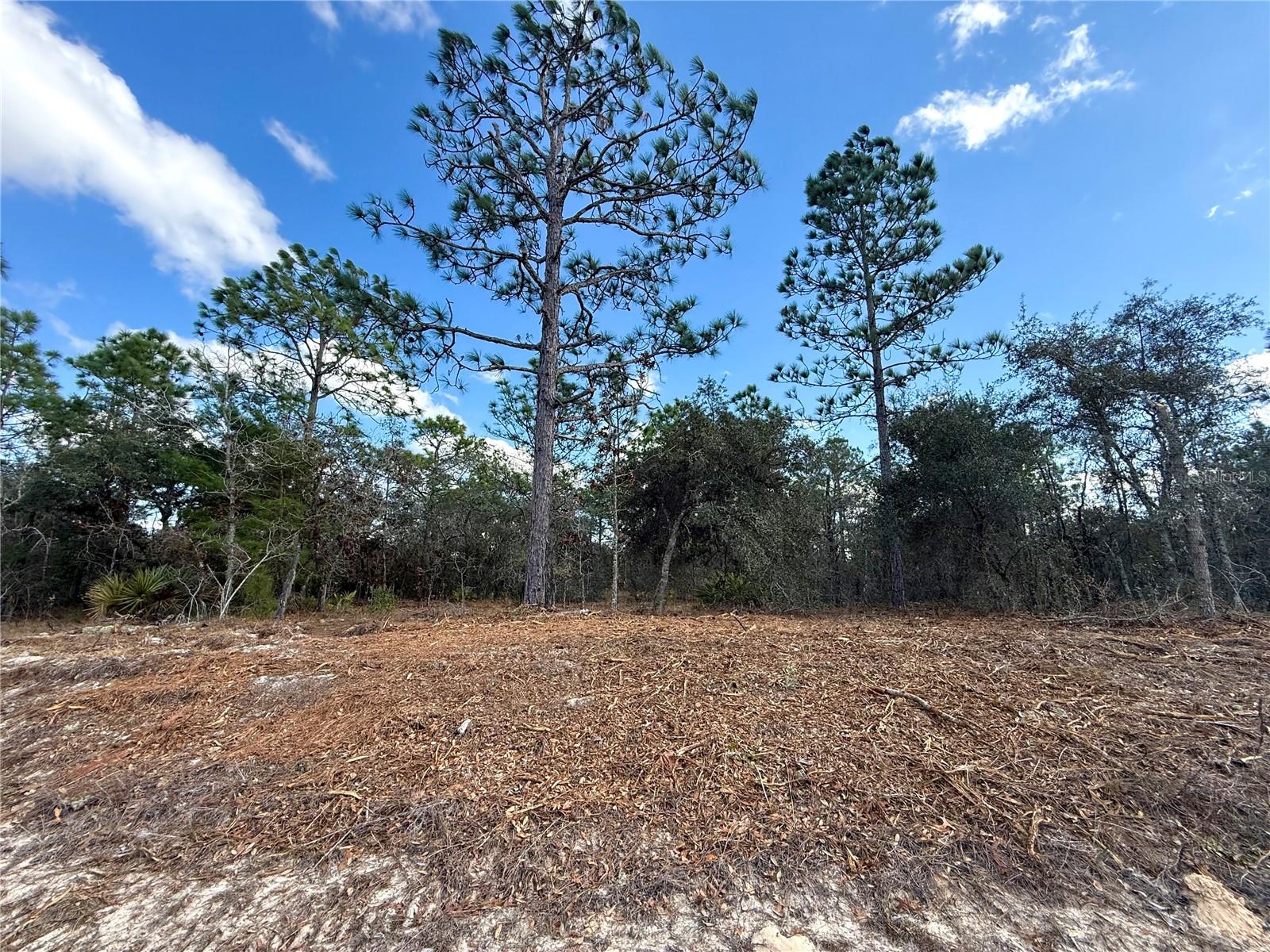 Listing photo id 4 for 8951 Citrus Springs Boulevard