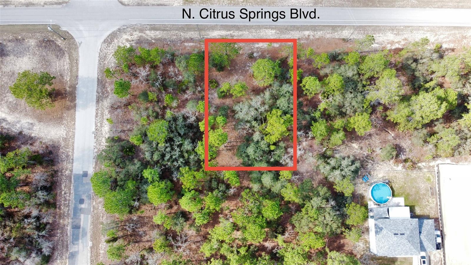 Listing photo id 5 for 8951 Citrus Springs Boulevard