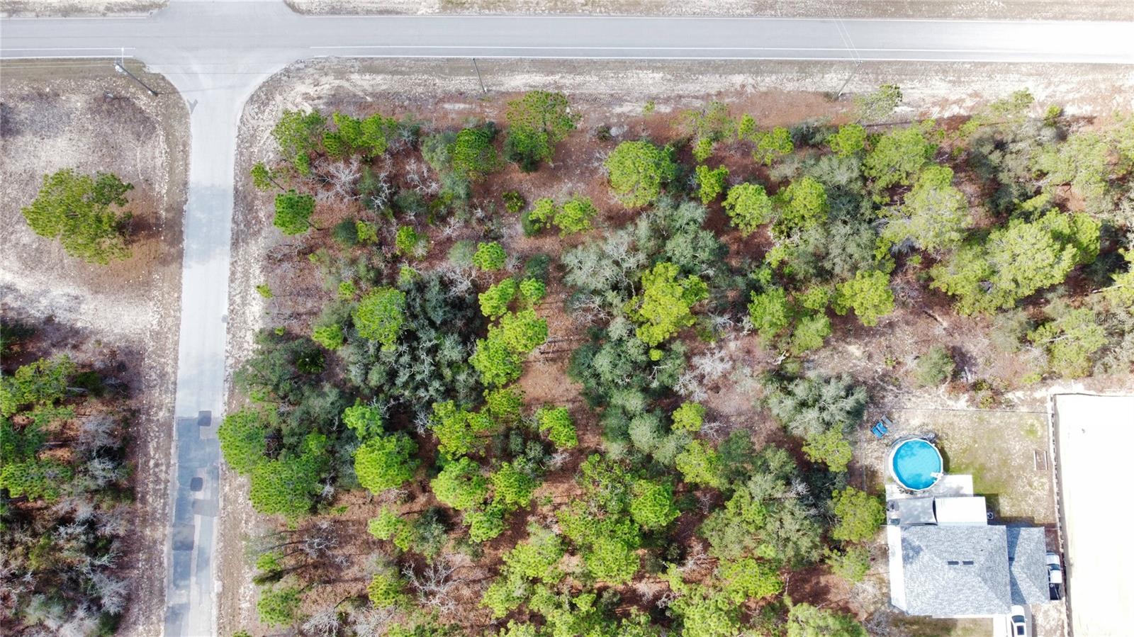 Listing photo id 6 for 8951 Citrus Springs Boulevard