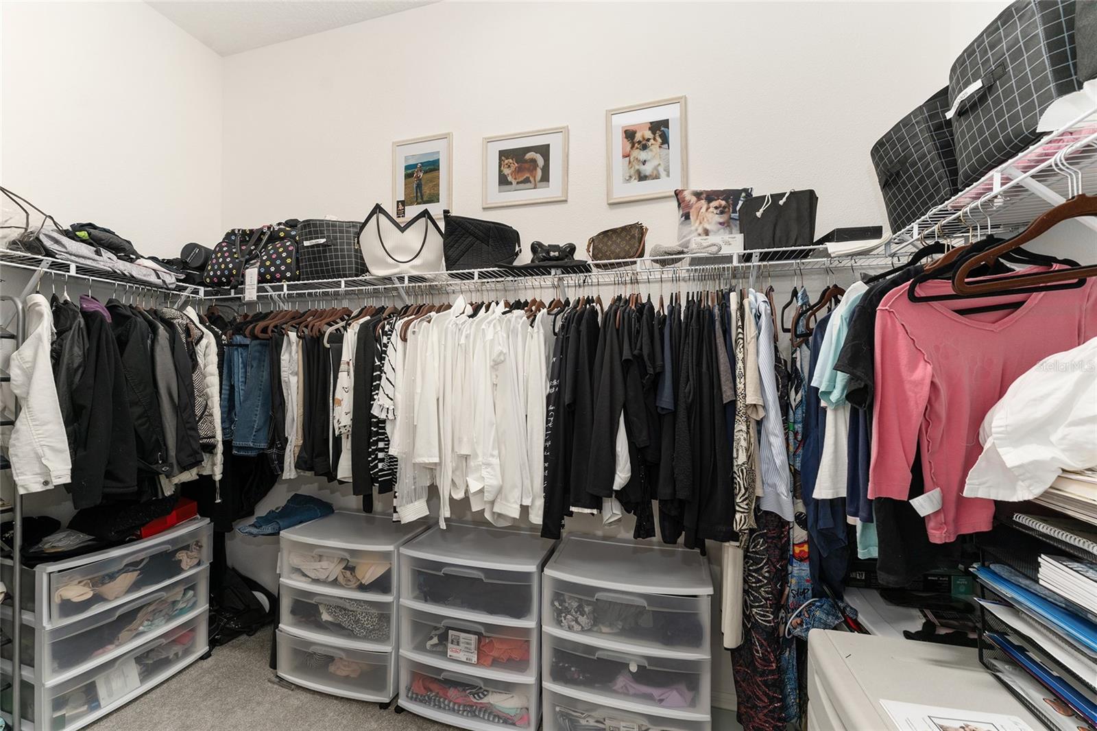 Image 23 of 28 For 7646 Cheryl Court