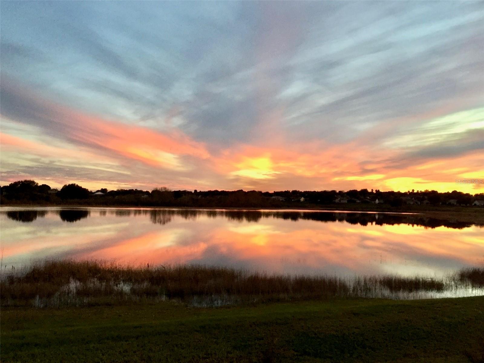 Image 52 of 59 For 25021 Bellevue