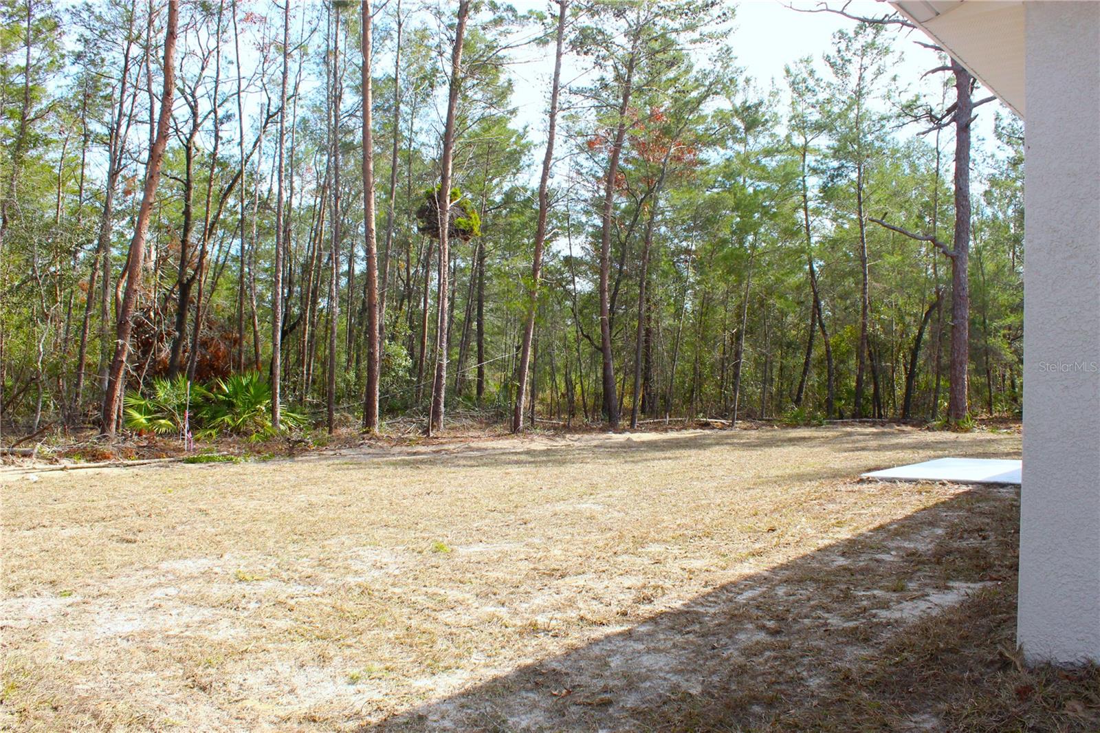 Image 14 of 38 For 15 Fisher Way Place