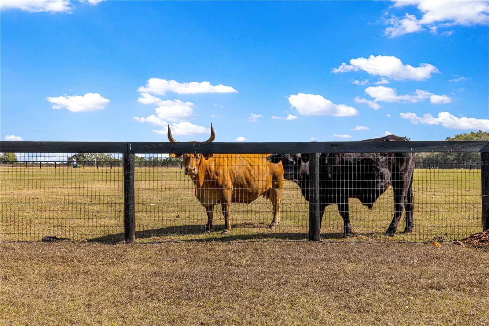 Image 56 of 82 For 4120 199th Court