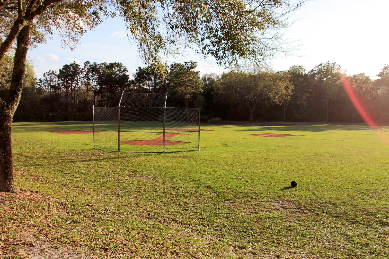 Listing photo id 36 for 18953 Wood Sage Drive