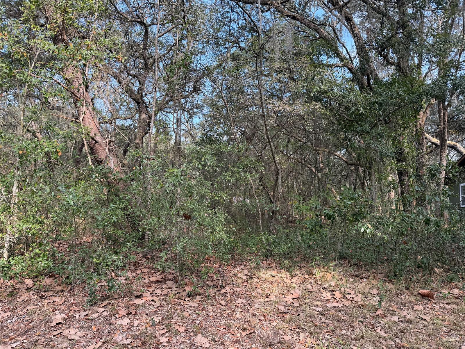 Image 3 of 5 For 102 David Drive