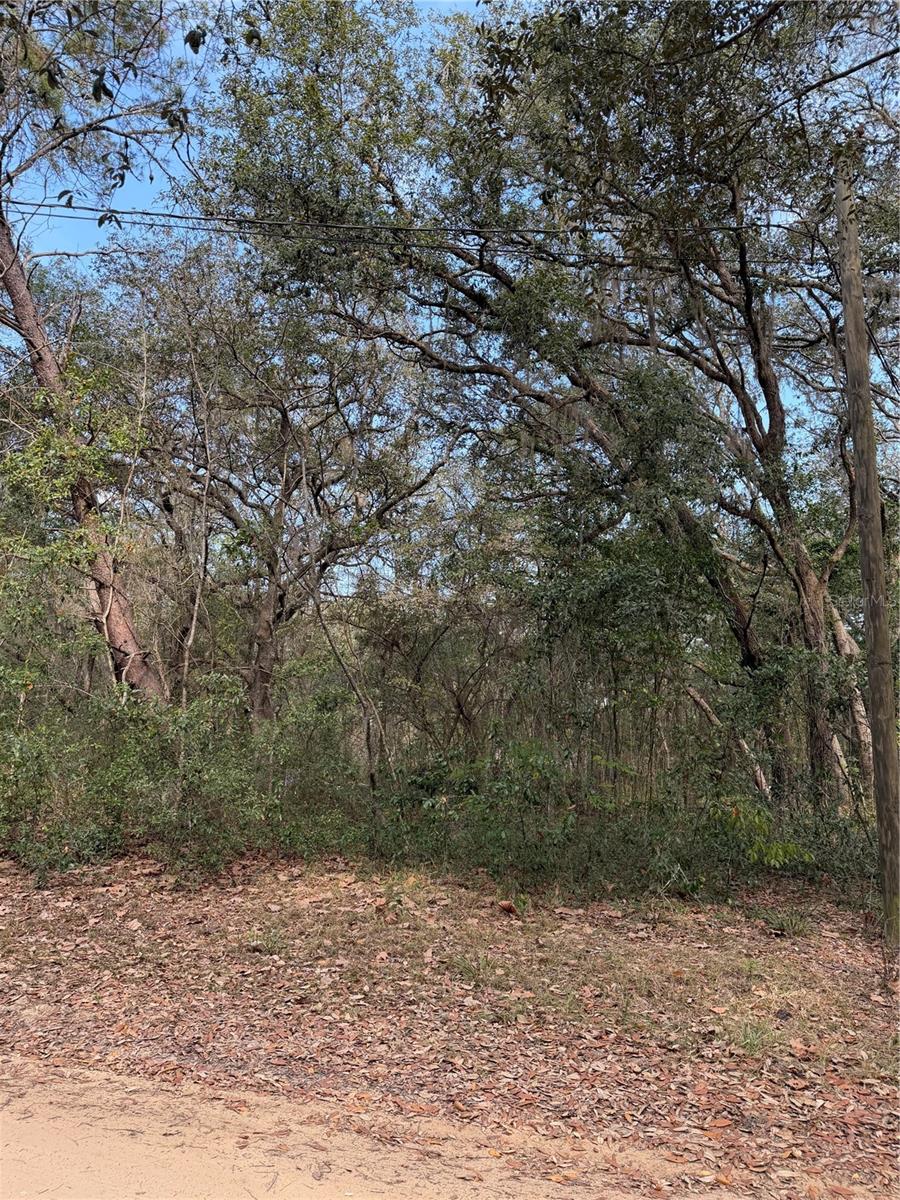 Image 4 of 5 For 102 David Drive