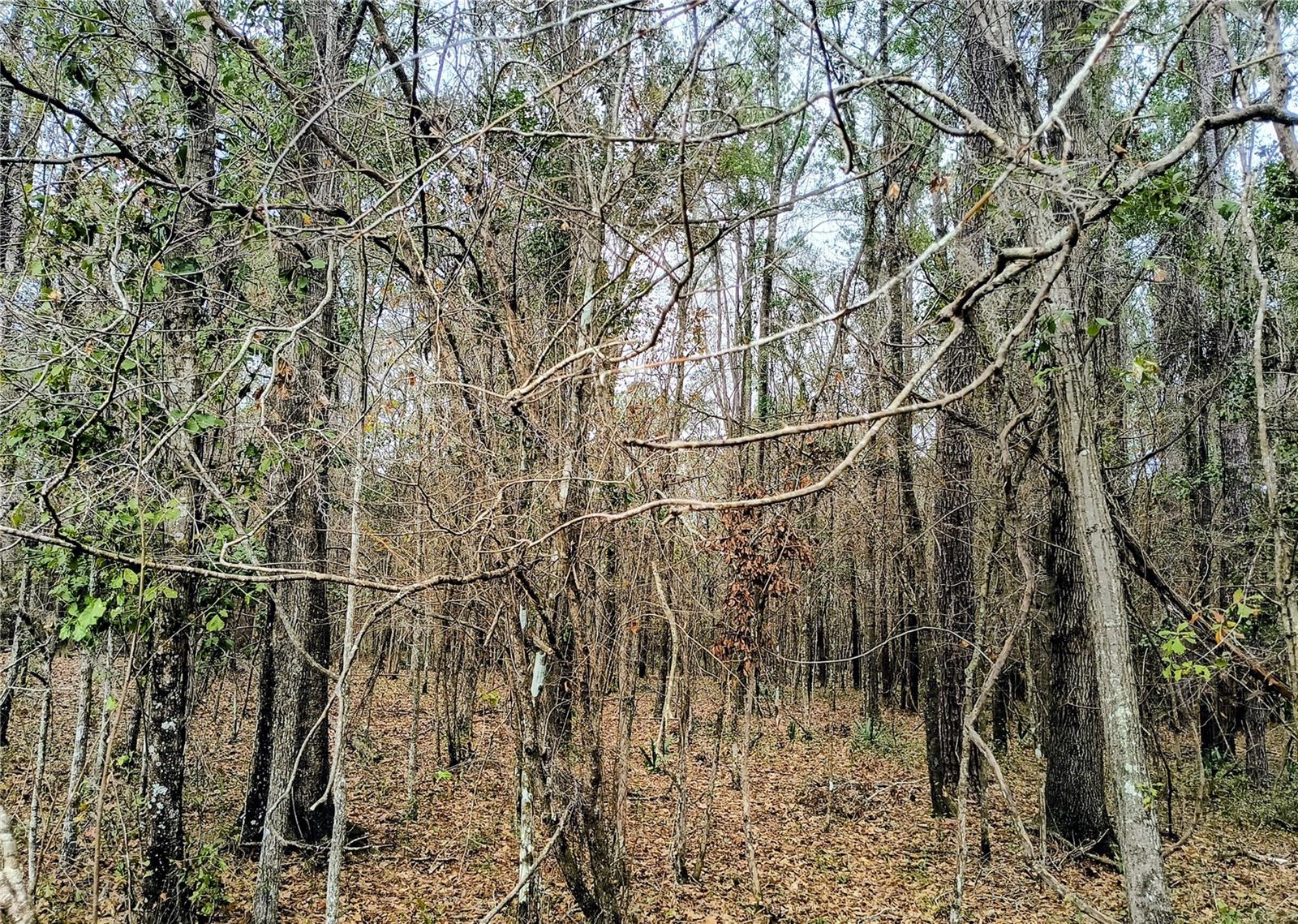 Image 4 of 5 For 0 142 Street