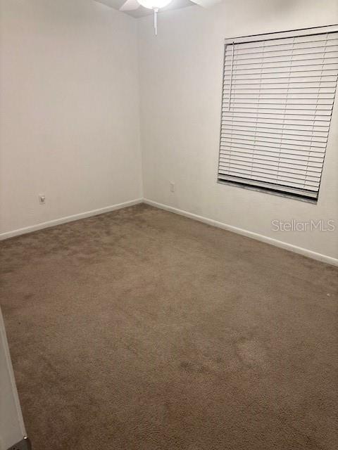 Image 14 of 21 For 4343 61st Terrace