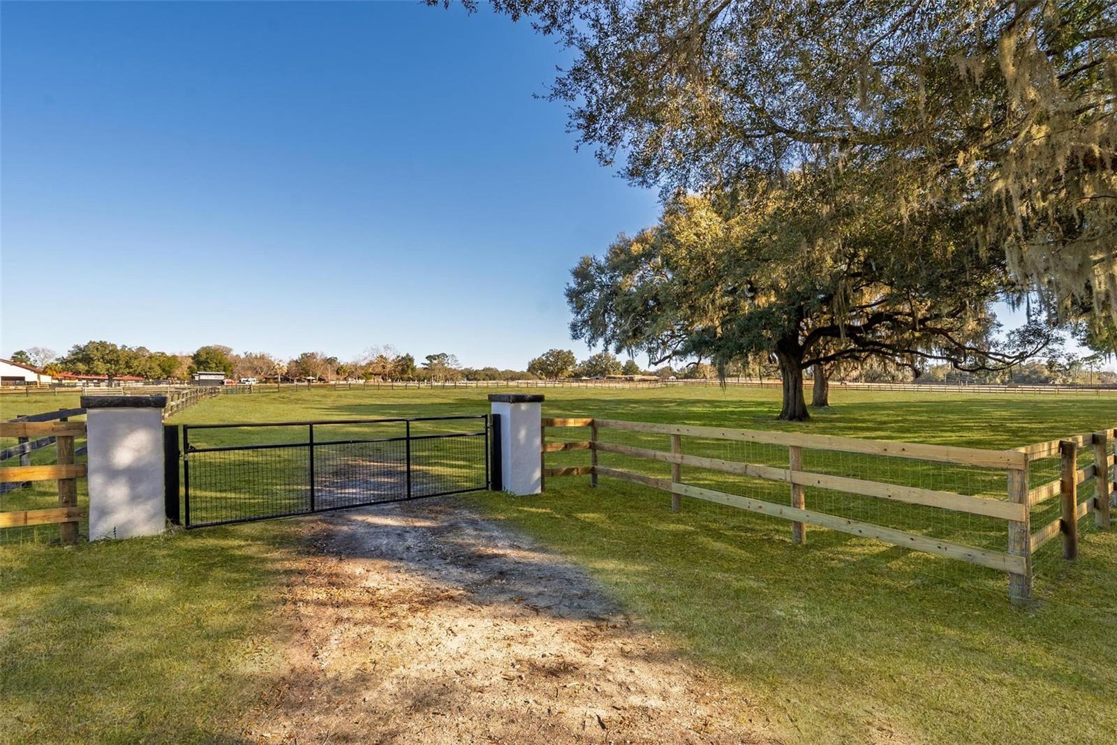 Details for 8245 137th Avenue, MORRISTON, FL 32668