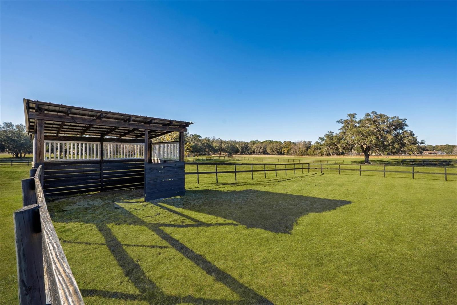 Image 9 of 11 For 8245 137th Avenue