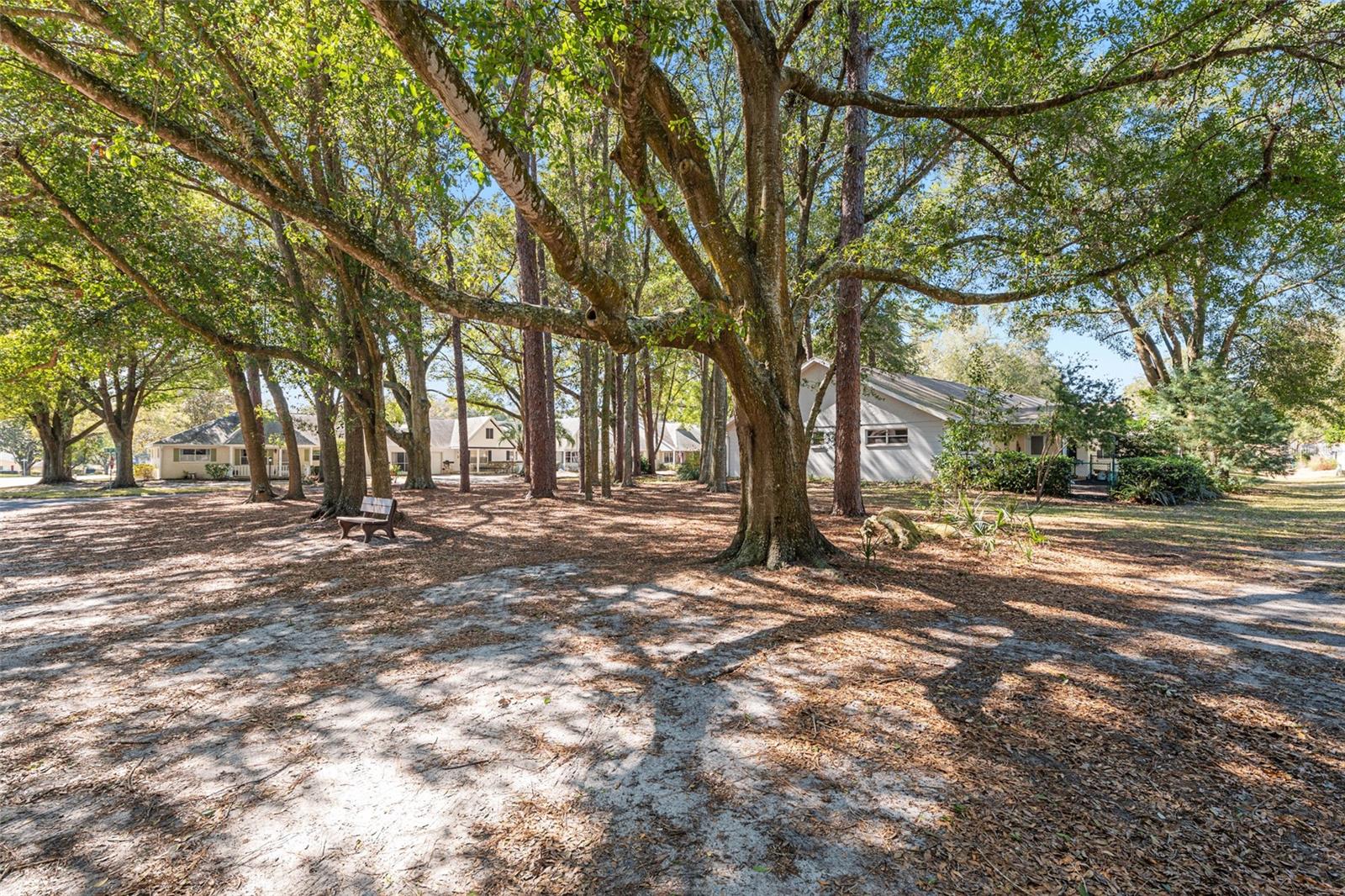 Image 60 of 62 For 8711 92nd Place D