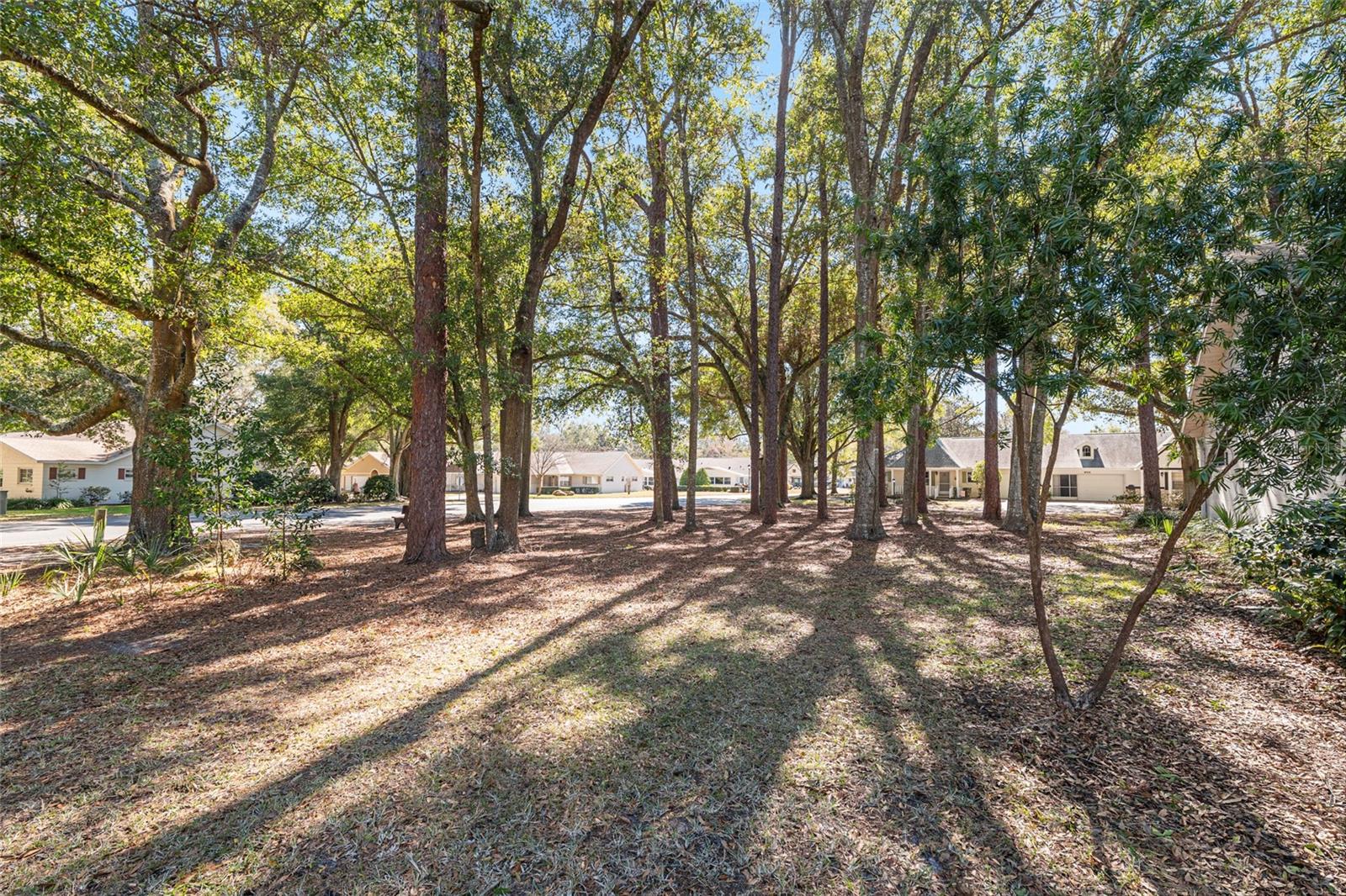 Image 61 of 62 For 8711 92nd Place D