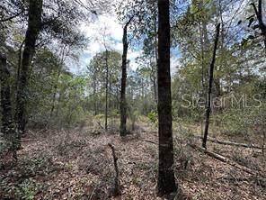 Image 4 of 4 For Tbd 12th Lane