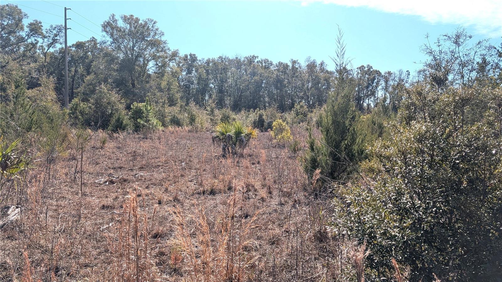 Image 10 of 15 For 13550 Old Fannin Road