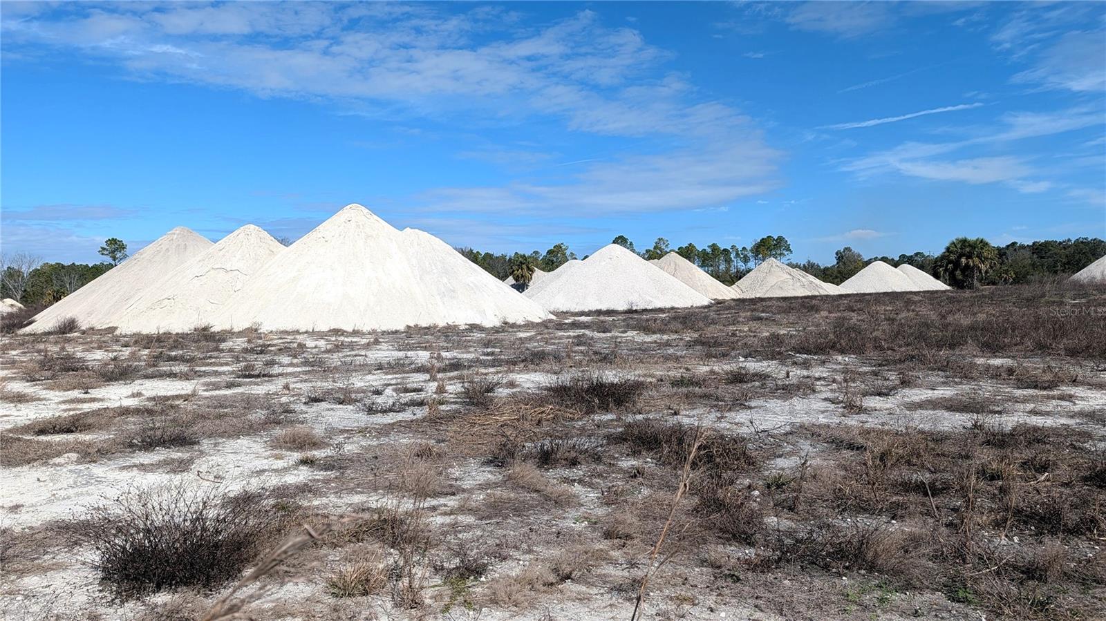 Image 11 of 15 For 13550 Old Fannin Road