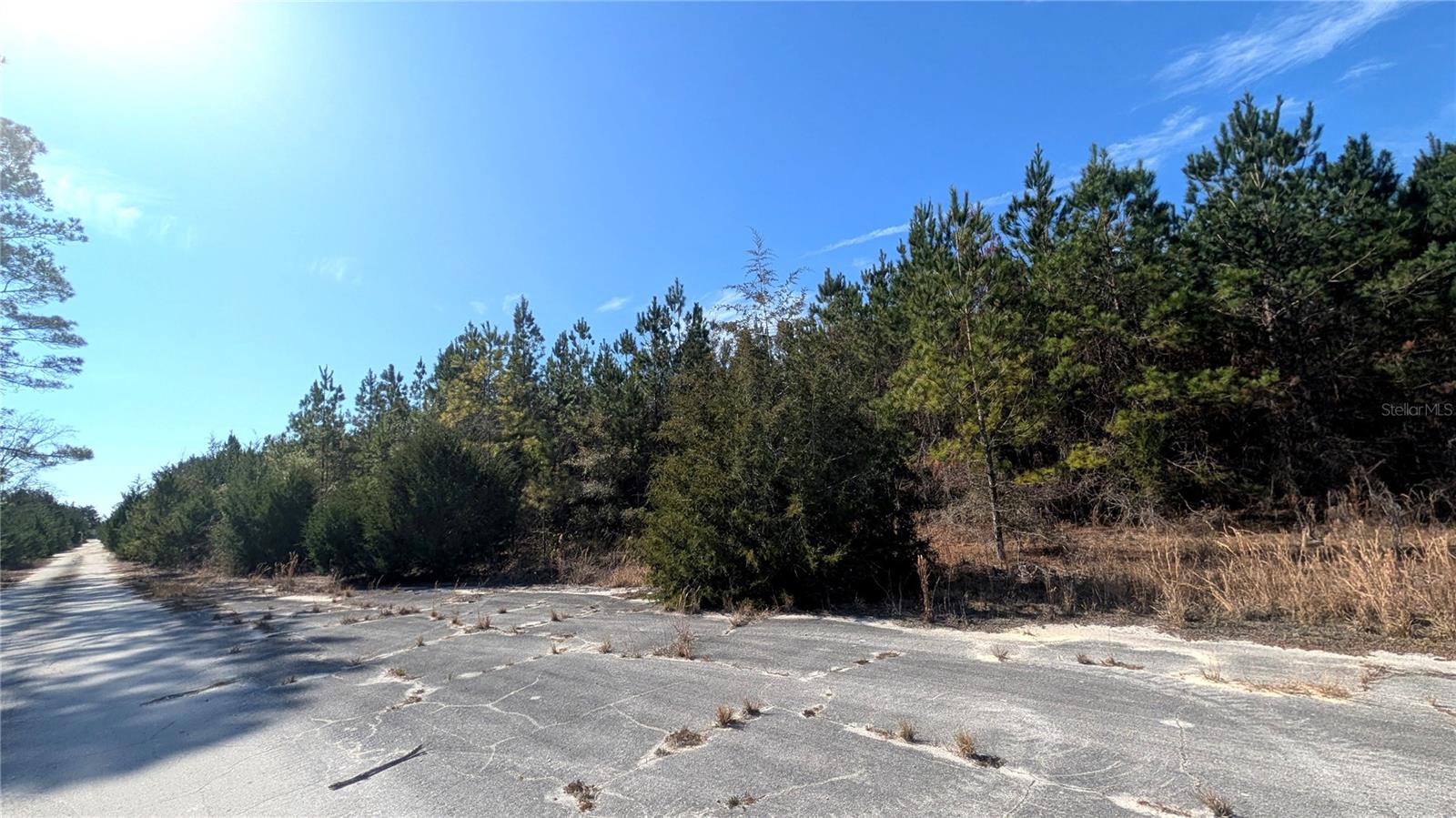 Image 4 of 15 For 13550 Old Fannin Road