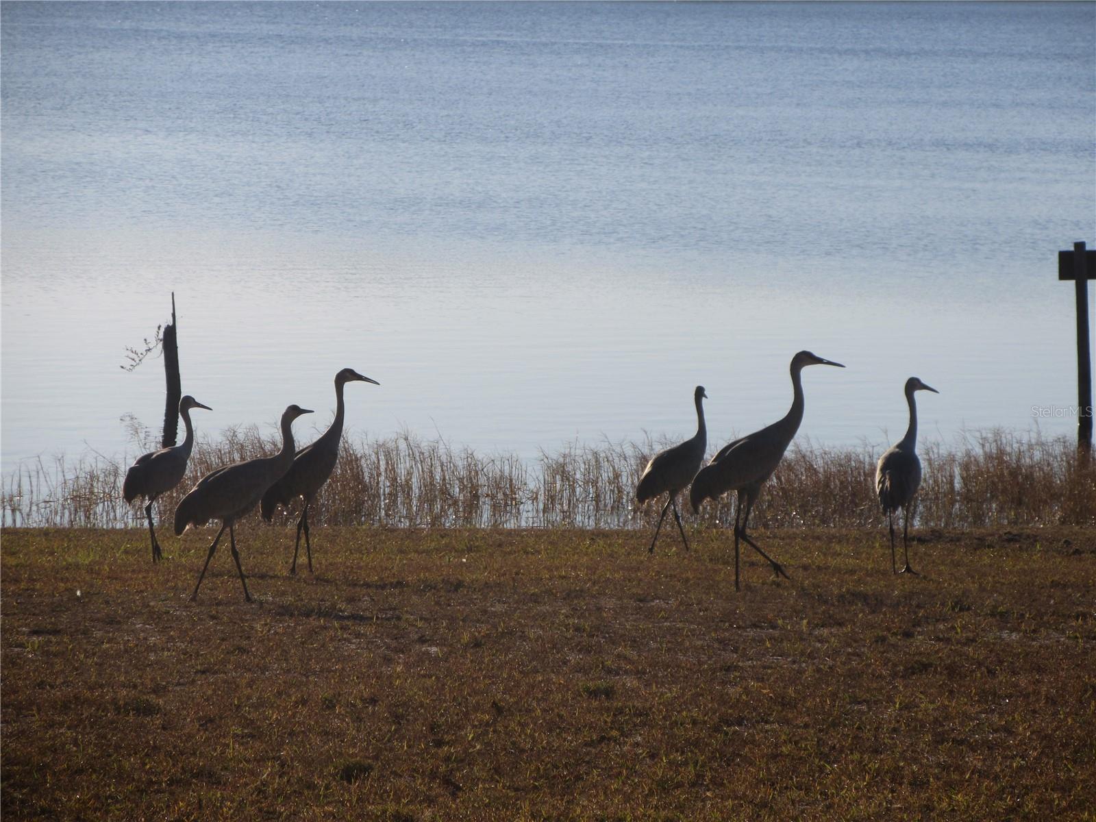 Image 53 of 91 For 1984 171st Court