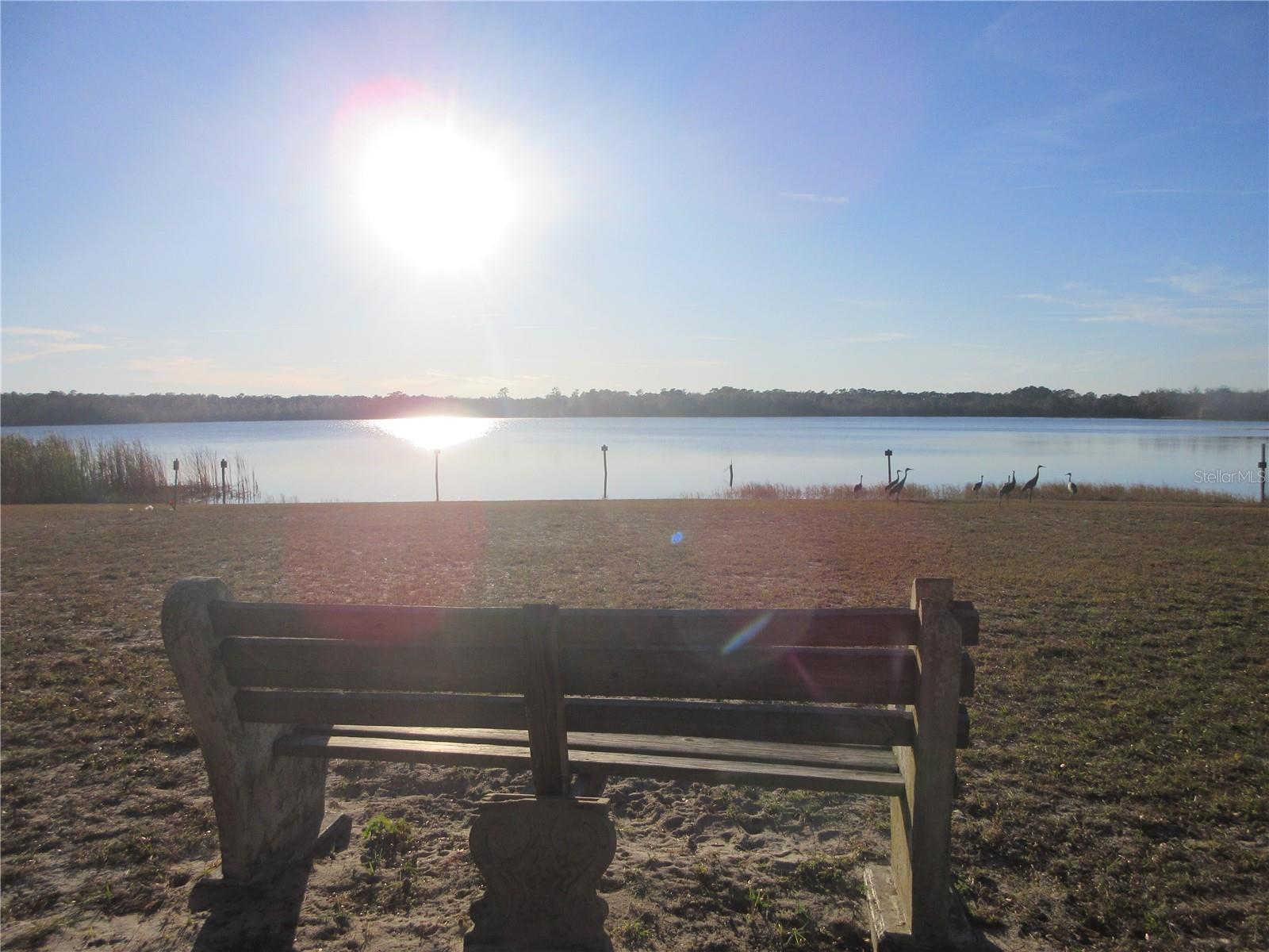 Image 54 of 91 For 1984 171st Court