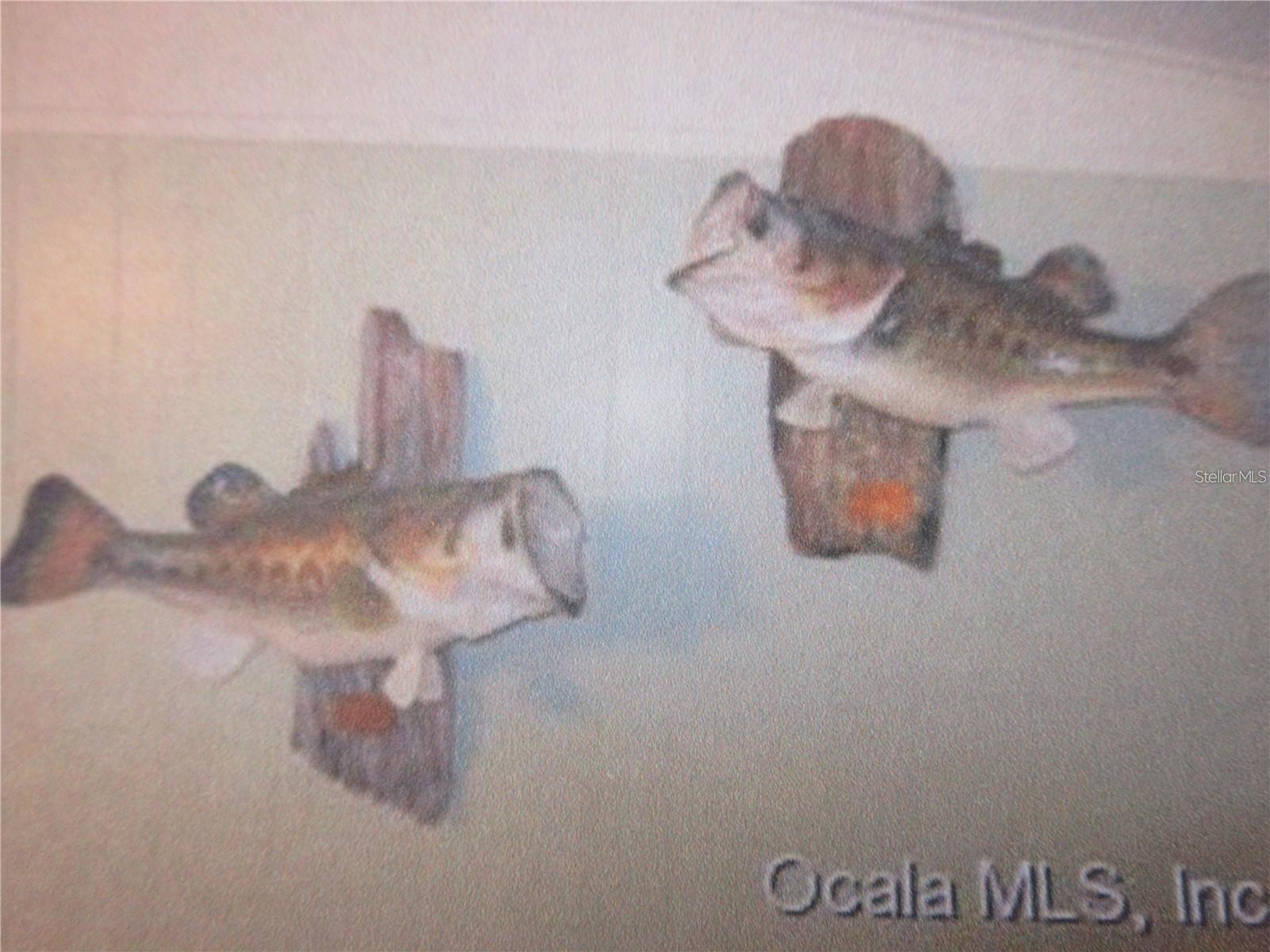 Image 56 of 91 For 1984 171st Court