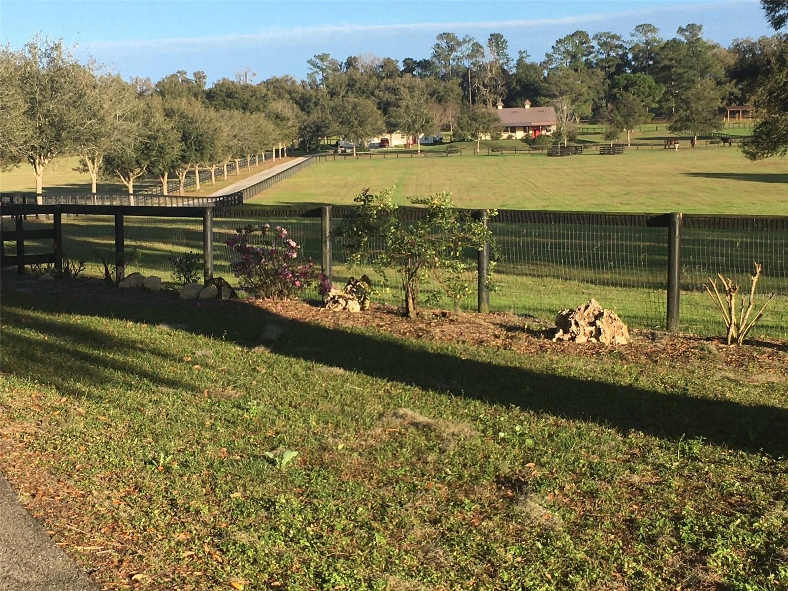 Image 11 of 52 For 9549 80th Avenue