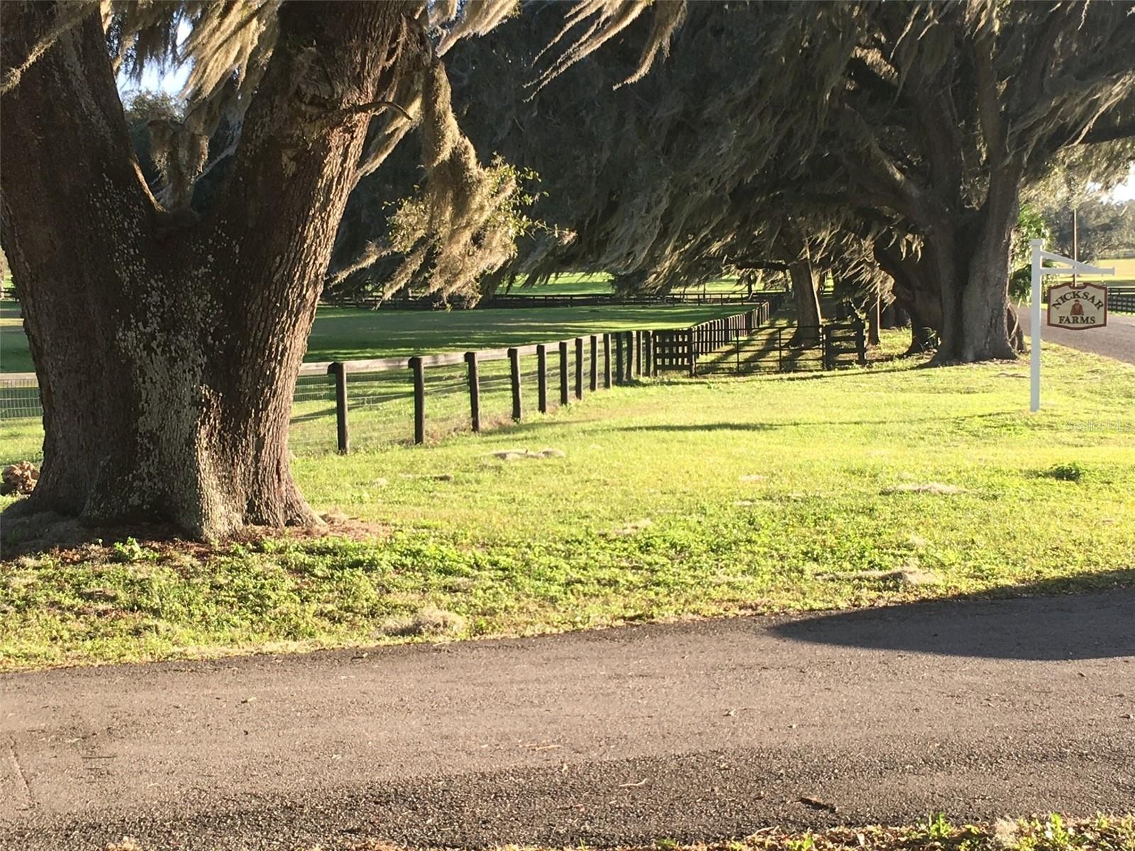 Image 4 of 52 For 9549 80th Avenue