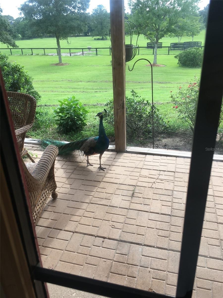 Image 50 of 52 For 9549 80th Avenue