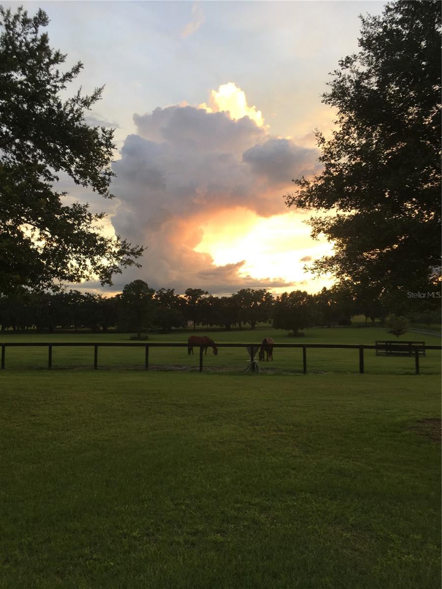 Image 7 of 52 For 9549 80th Avenue