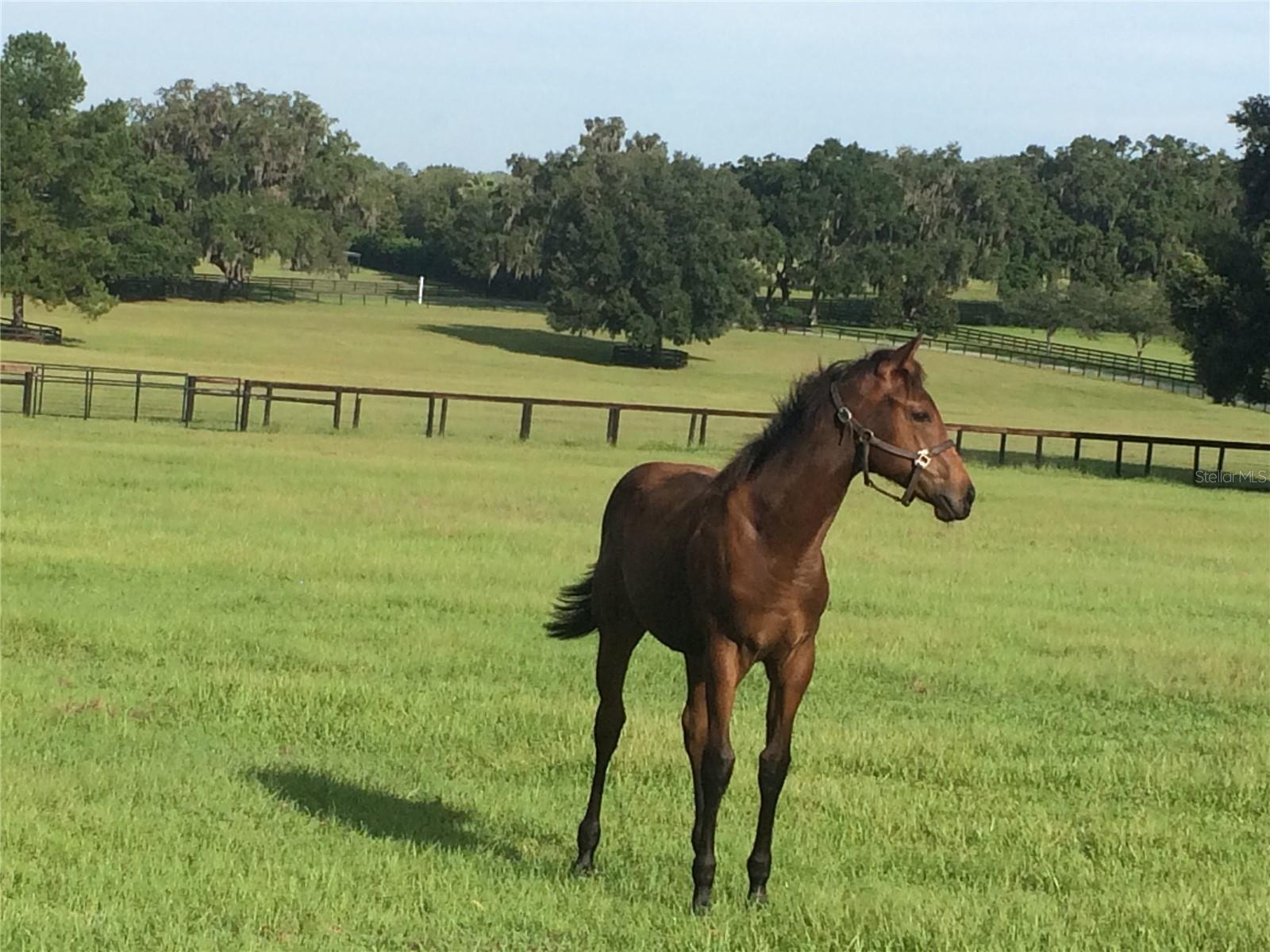 Image 8 of 52 For 9549 80th Avenue
