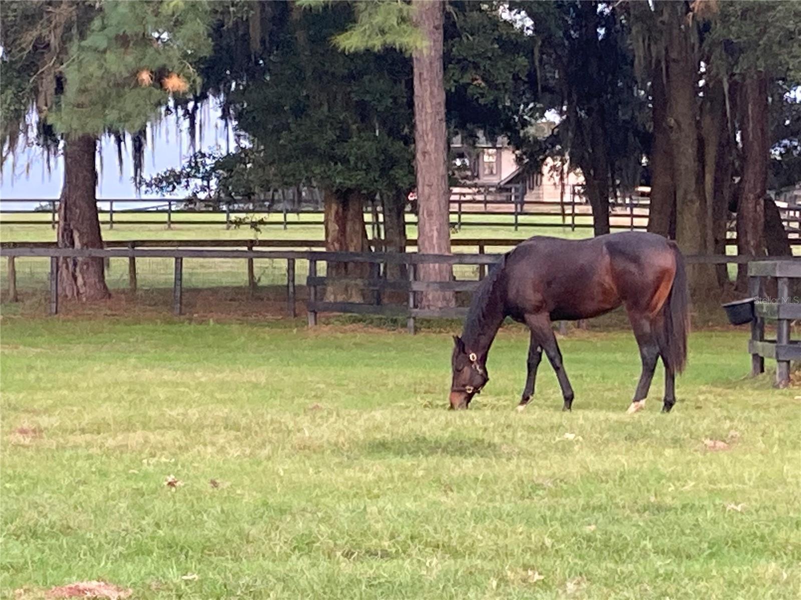 Image 9 of 52 For 9549 80th Avenue