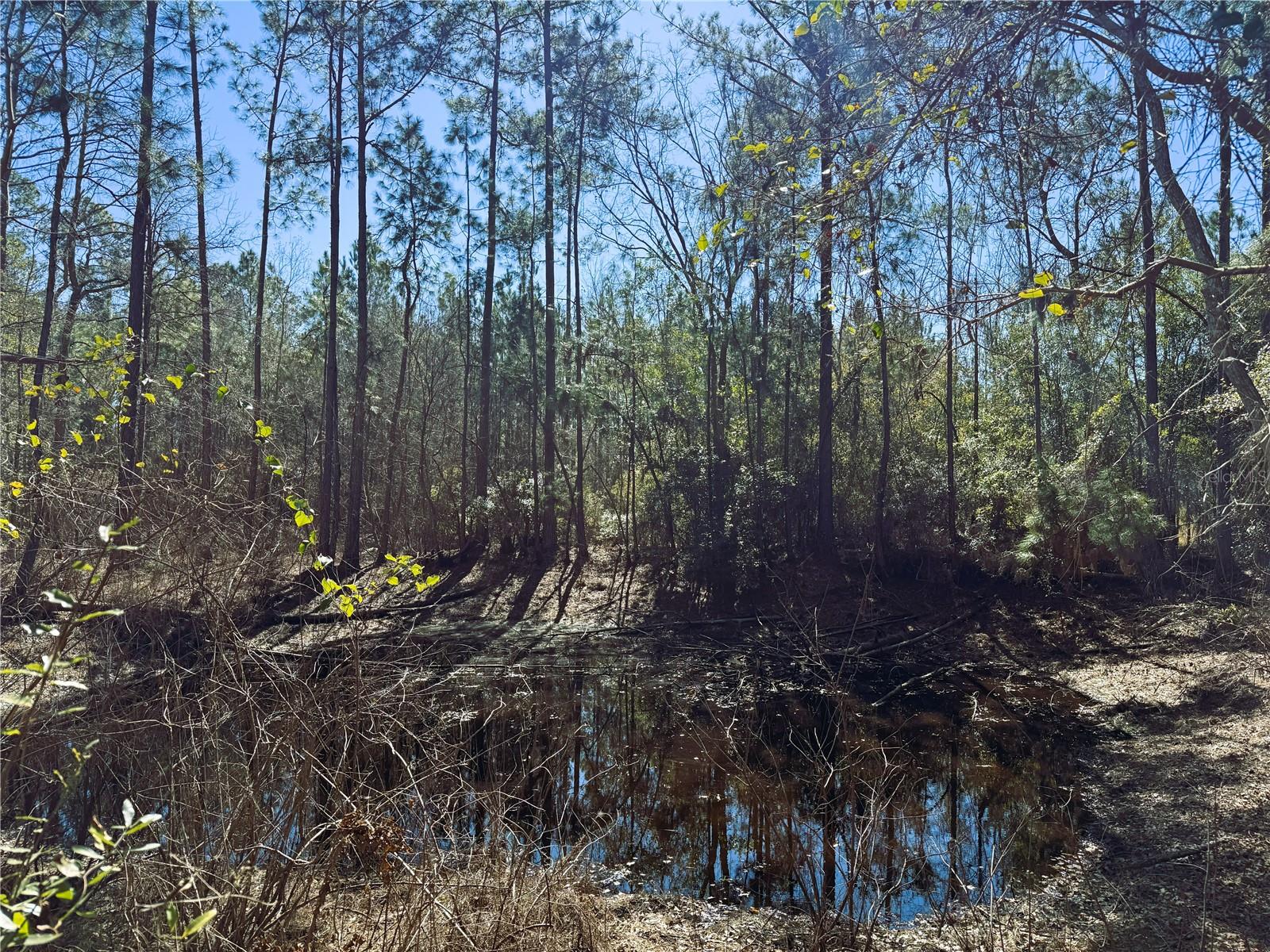 Image 19 of 21 For 7400 199th Street Road