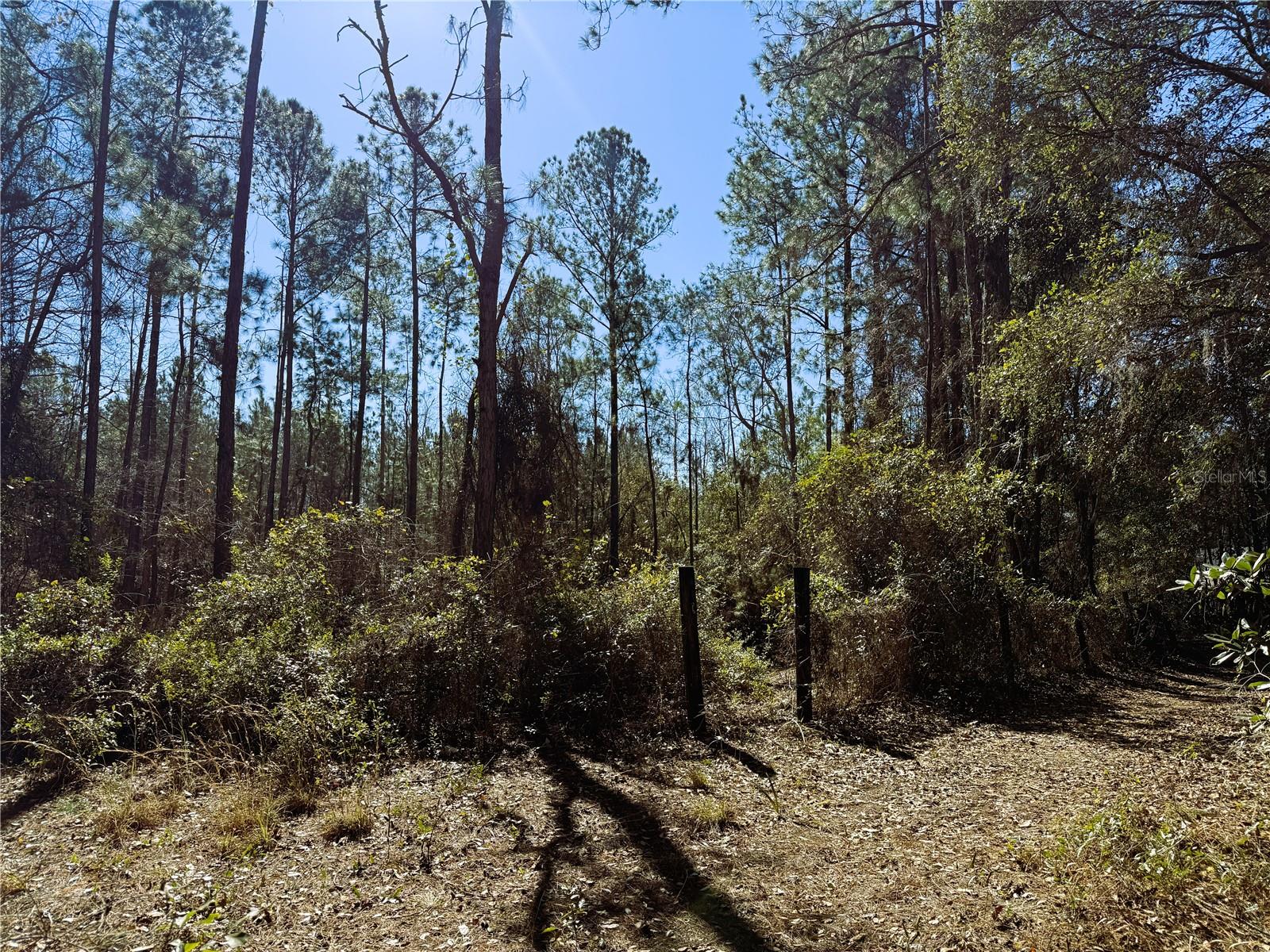 Image 21 of 21 For 7400 199th Street Road