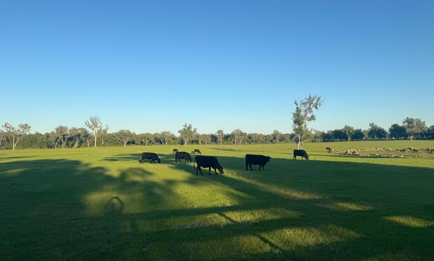 Image 7 of 8 For  160 Avenue 