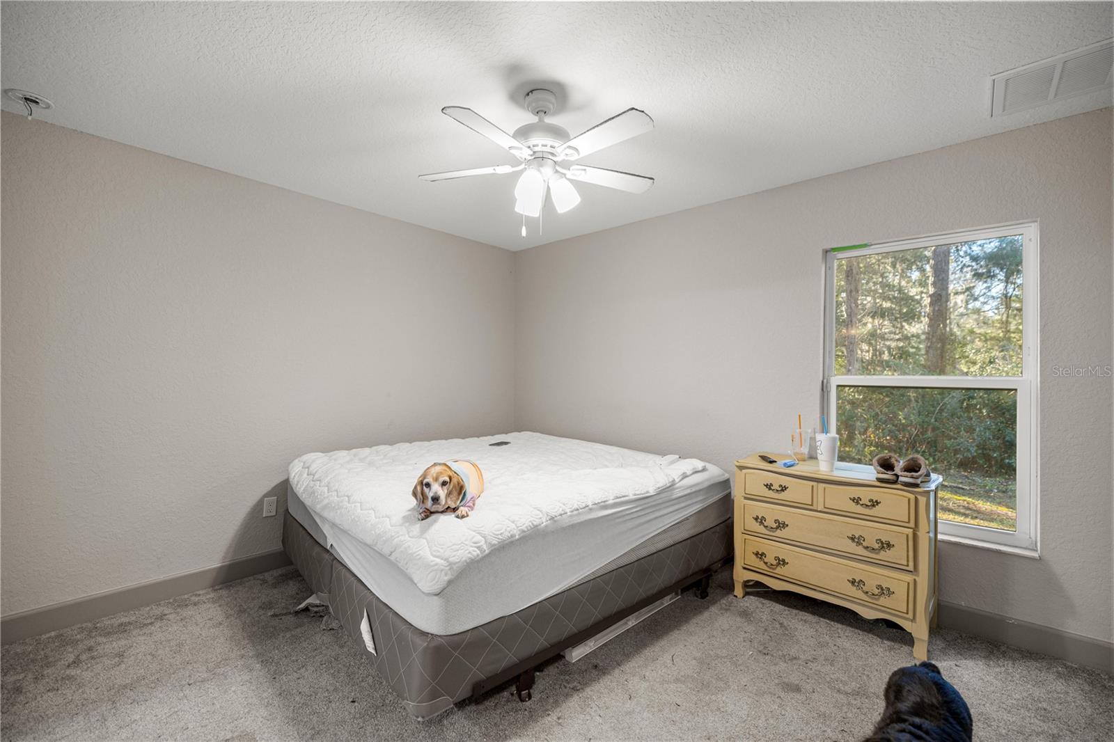 Image 25 of 59 For 10377 186th Avenue