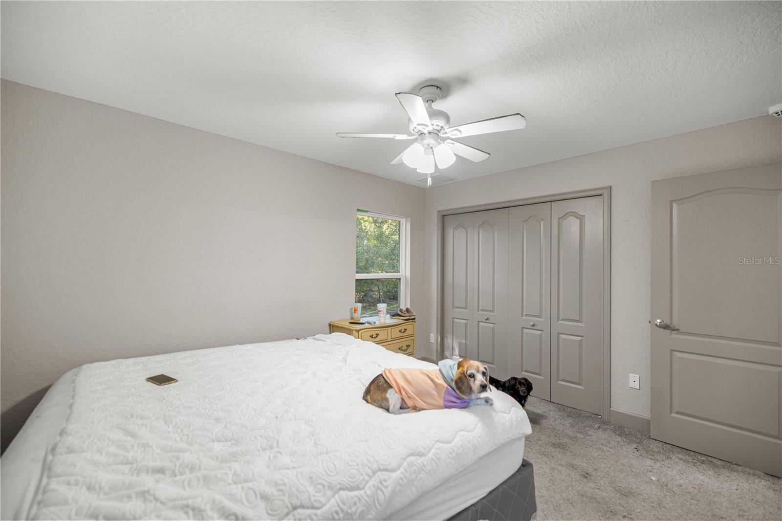 Image 27 of 59 For 10377 186th Avenue