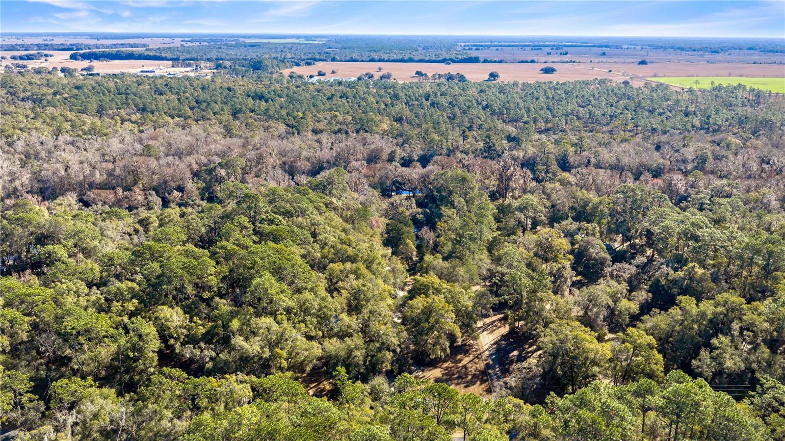 Image 40 of 59 For 10377 186th Avenue