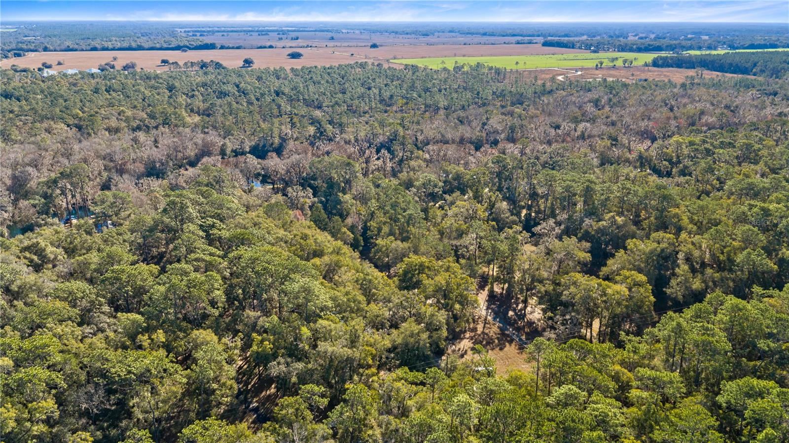 Image 47 of 59 For 10377 186th Avenue