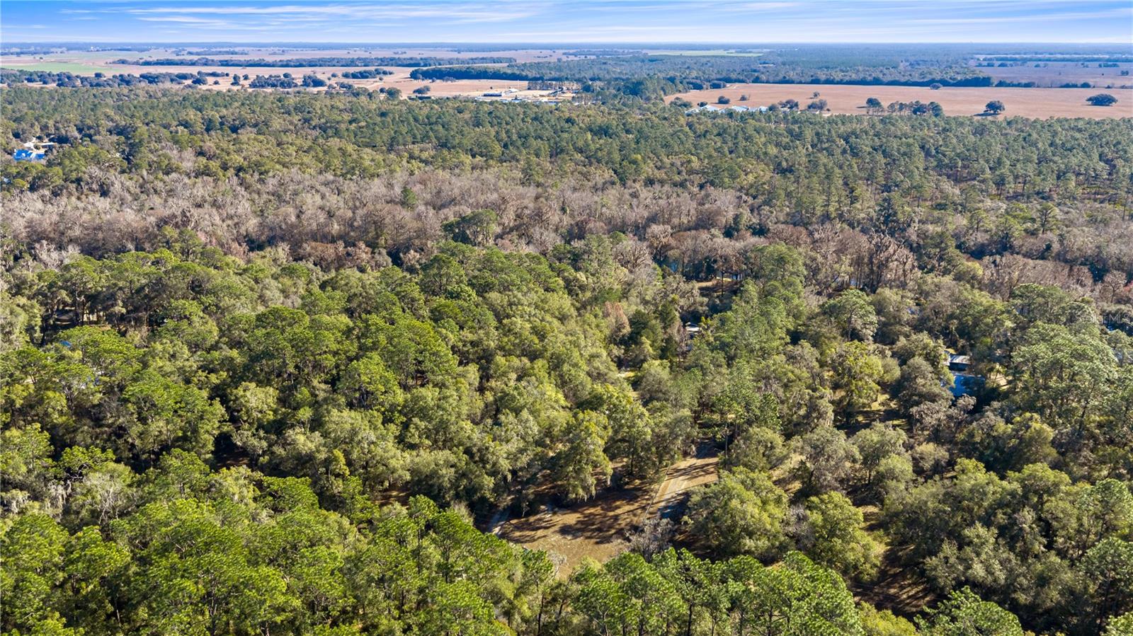 Image 48 of 59 For 10377 186th Avenue