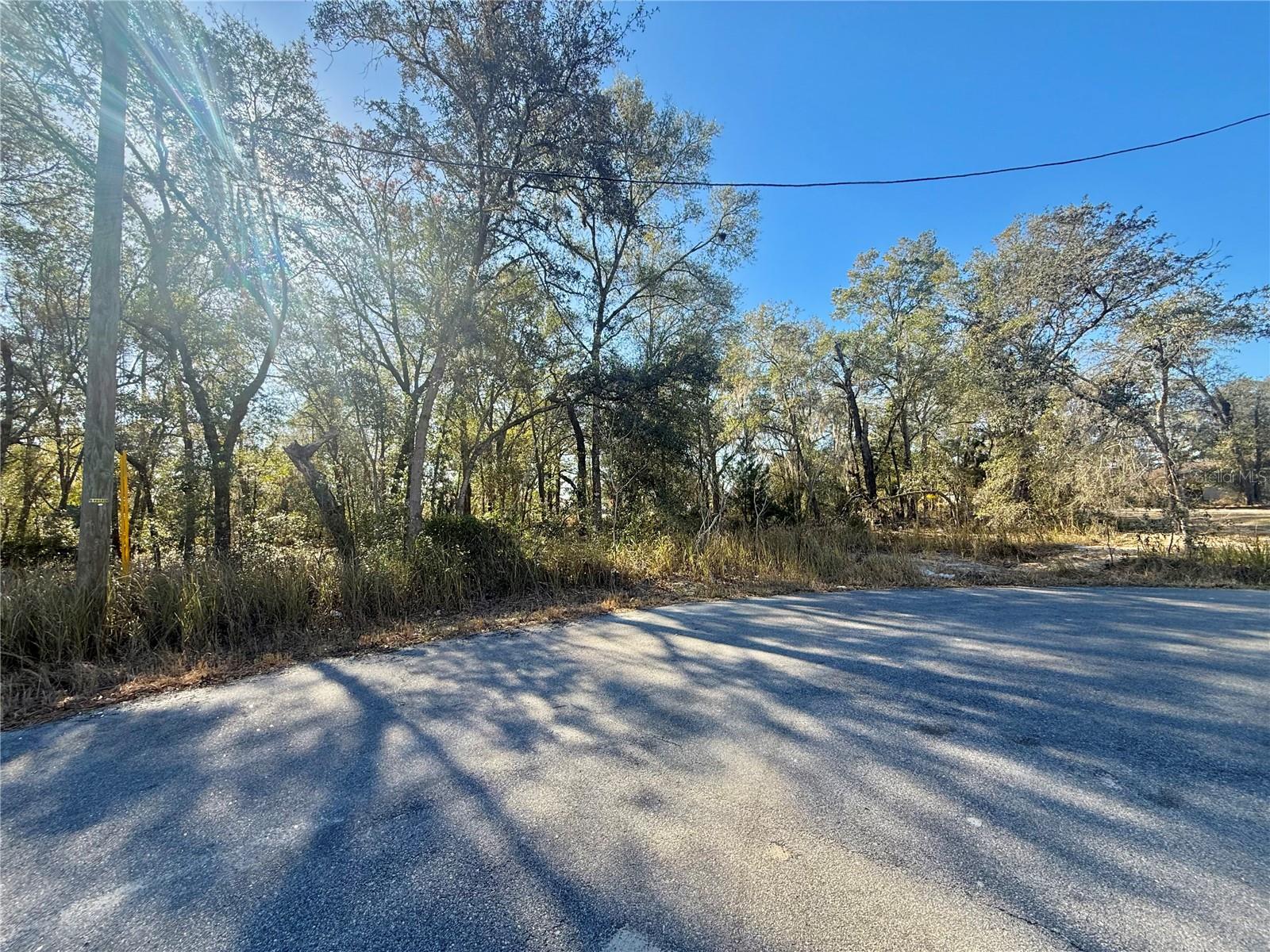 Details for Tbd Lot 35 Locust Pass Court, OCALA, FL 34472