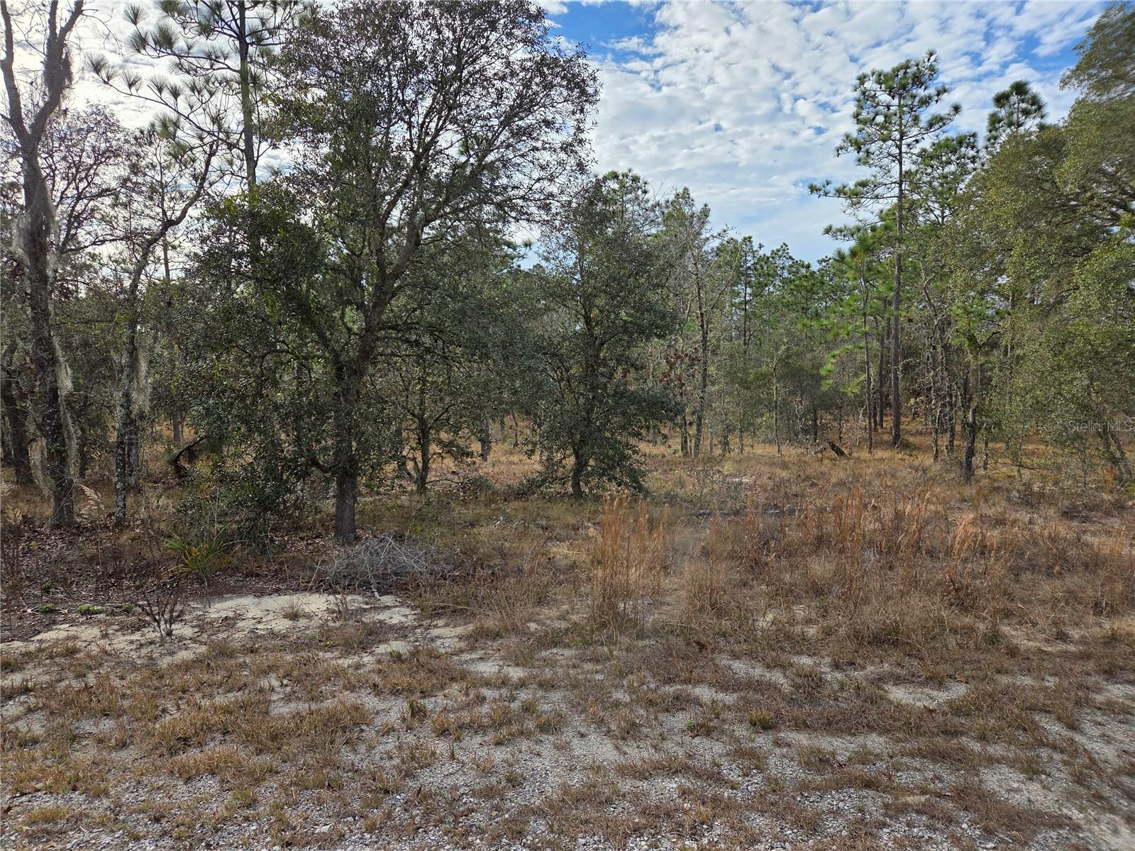 Details for 0000 128th Avenue, DUNNELLON, FL 34431