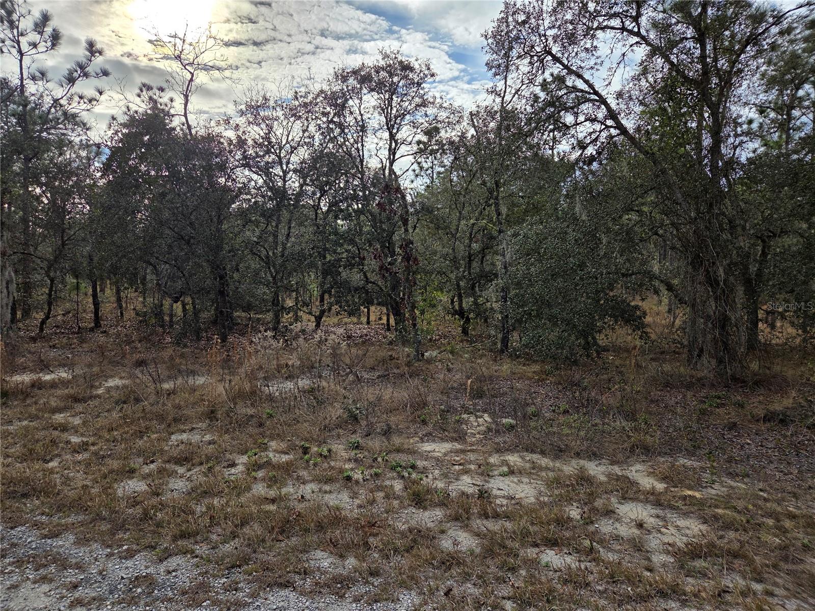 Image 4 of 6 For 0000 128th Avenue