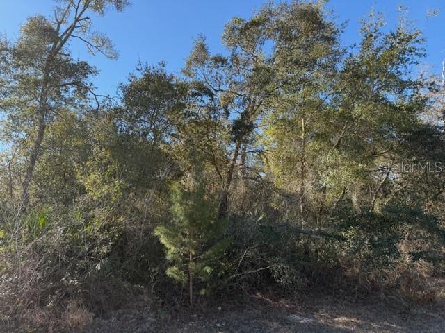 Image 2 of 4 For Tbd 158th Street Road