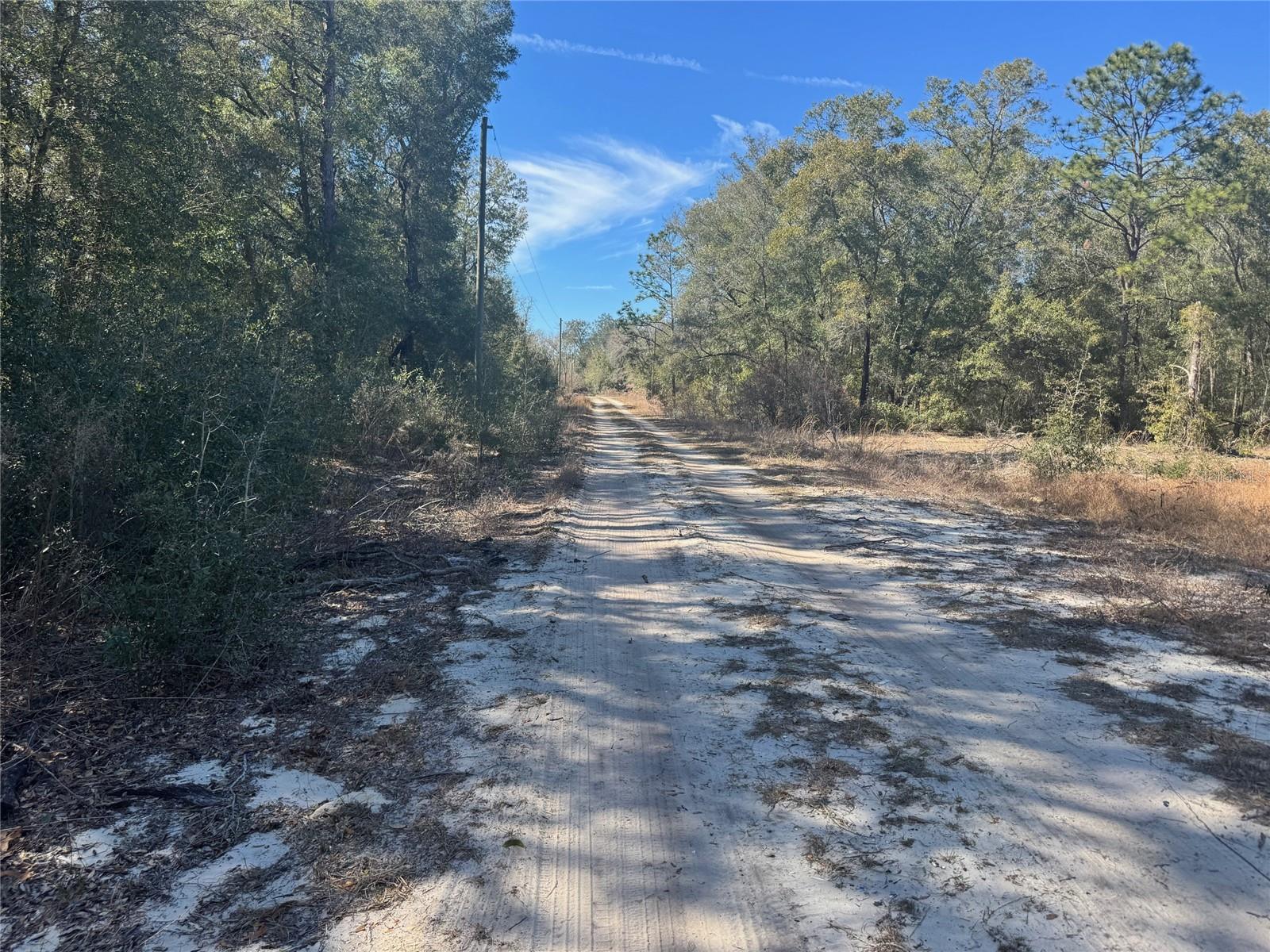 Image 4 of 7 For Lots 19-24 16th Place