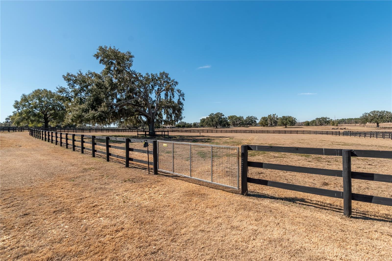 Image 56 of 76 For 12610 Gainesville Road