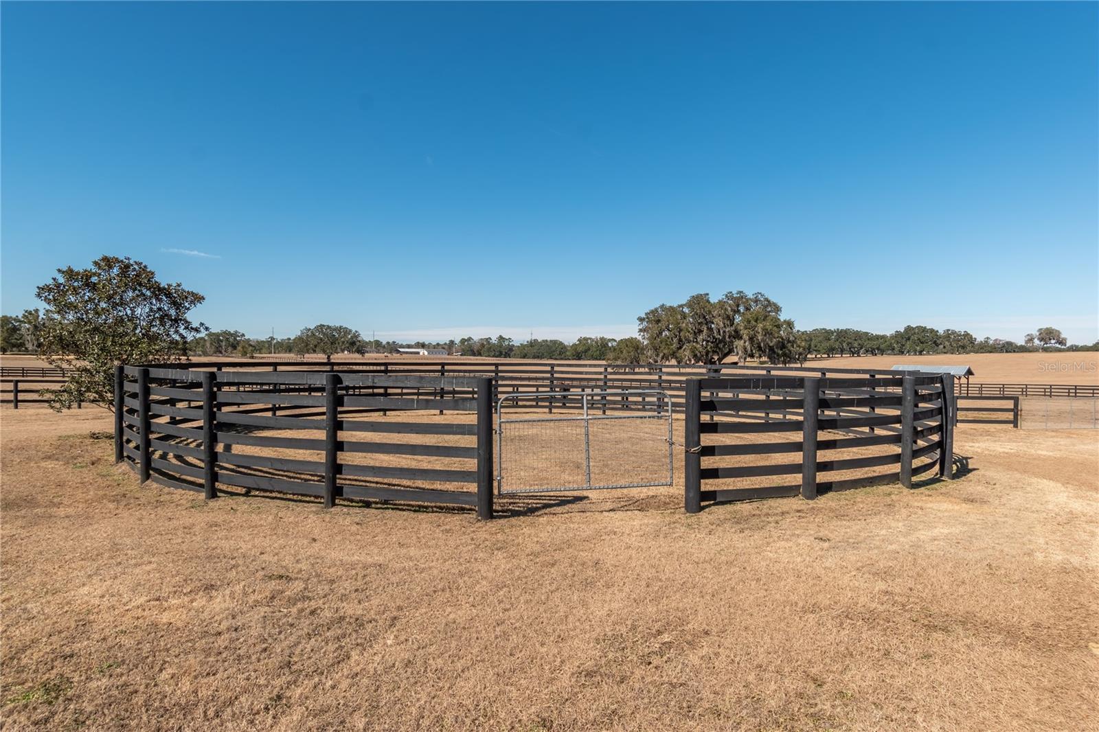 Image 58 of 76 For 12610 Gainesville Road