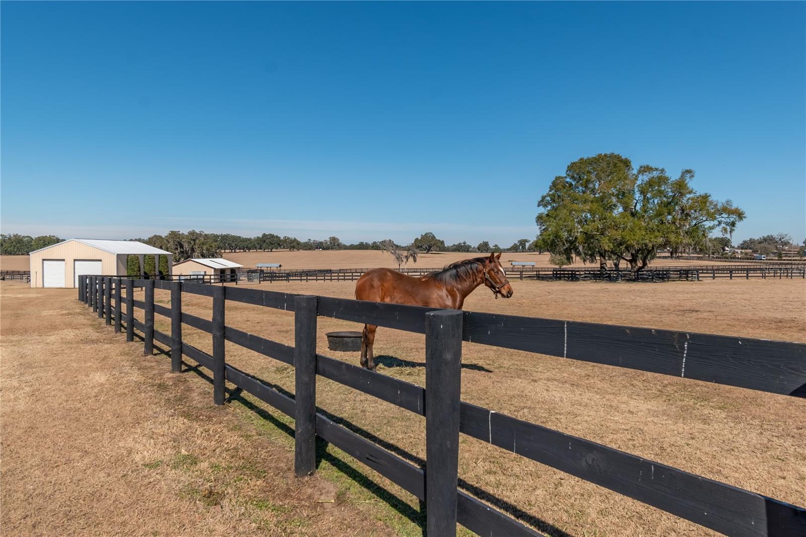Image 62 of 76 For 12610 Gainesville Road